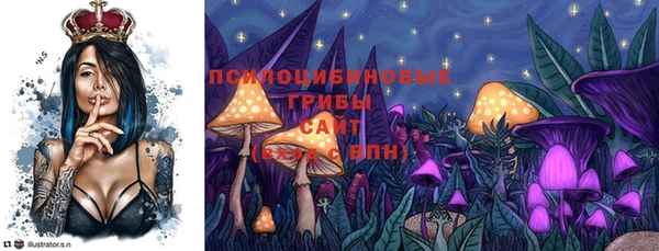 mdpv Беломорск
