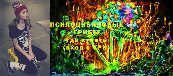 ECSTASY Белокуриха