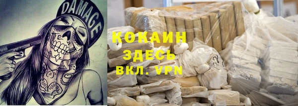 ECSTASY Белокуриха
