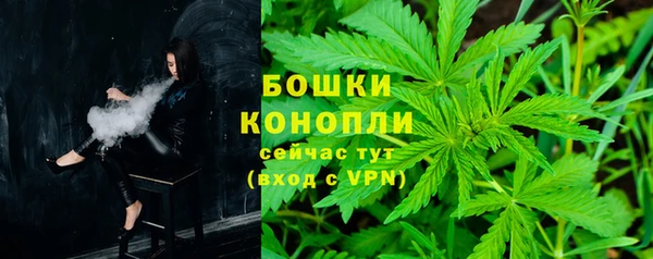 ECSTASY Белокуриха